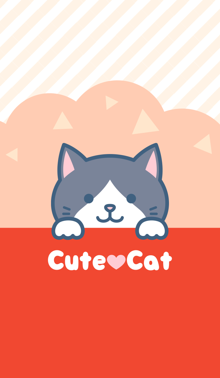 Cute cat(Gray-white cat)
