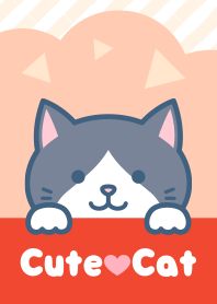 Cute cat(Gray-white cat)