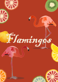 [改] 火烈鳥 + 紅色 |os