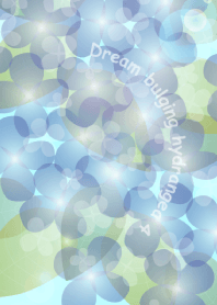 Dream bulging hydrangea 4