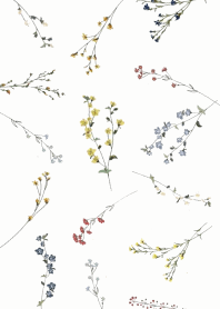 Fashionable dried flower White