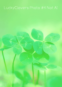 LuckyClovers Photo #4-16 NotAI