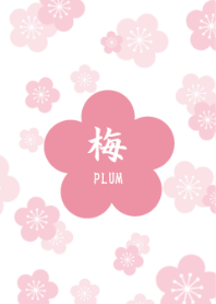 和柄-梅- [Pink]
