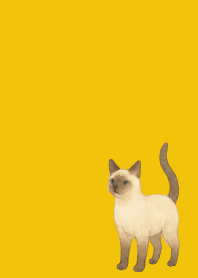 Siamese cat holiday yellow