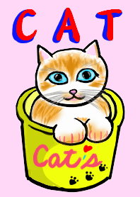 猫大好き 1