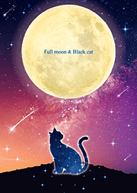 幸運を招く✨満月と黒ネコ