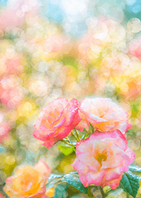 Beautiful rose flower(R2806)