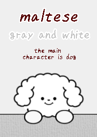 maltese dog theme7 gray and white