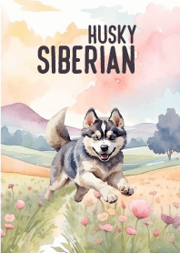 siberian husky In Flower Theme 2