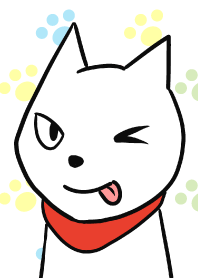 Kucing Shirata 2