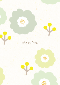 Flowers and fruits adult15