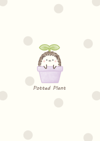 Hedgehog and Potted plant -purple- dot