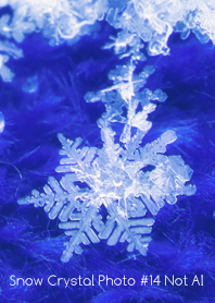 Snow Crystal Photo #14-25Not AI