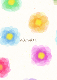 Colorful watercolor flowers from Japan