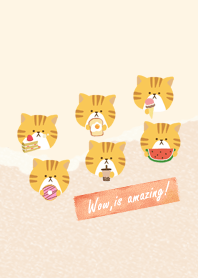orange cat yummy
