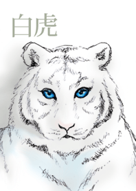 青い瞳の白虎