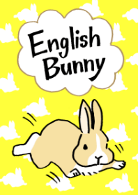英語でうさぎ