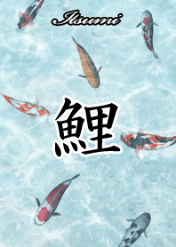 Itsumi Japanese style carp