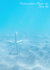 Underwater Photo90 Not AI