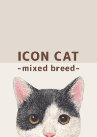 ICON CAT - Mixed breed cat - BROWN/11