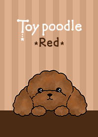 cute toy poodle red