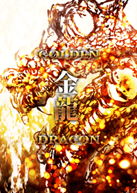 金 龍 GOLDEN-DRAGON