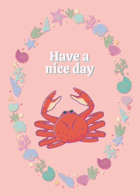 Shells and crab