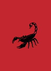 Cool scorpion