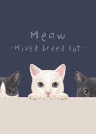 Meow-Mixed breed cat 02-DUSTY NAVY
