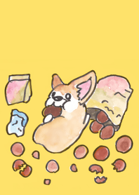 One day of Corgi
