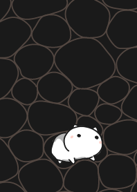 cat staring - 35 - frame