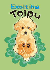 Exciting Toipu