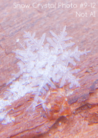 Snow Crystal Photo #9-12Not AI
