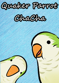 可愛和尚鸚鵡，茶茶！與你在藍天翱翔！