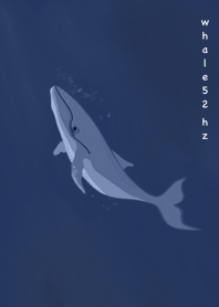 Whale 52Hz.
