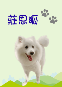 莊思狐