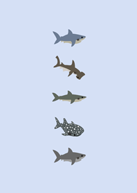 小小的鯊魚們