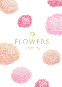 Flowers・ピオニー