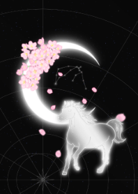 Lua Zodíaco - Cavalo - Aquário