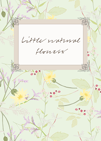 Little natural flowers 16