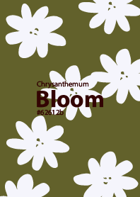 Chrysanthemum Bloom #62612b