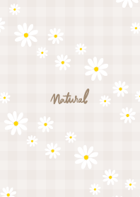 Daisy diagonally7 from Japan