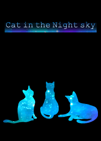 夜空の猫の着せ替え-2