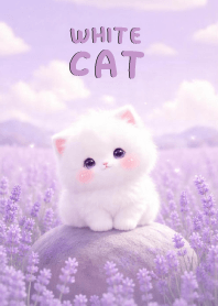Pretty White Cat In Lavender