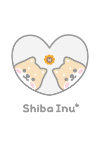 Shiba Inu Sunflower [White]