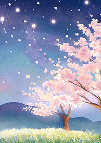 Beautiful night cherry blossoms#1767