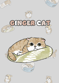 gingercat11 - light grey