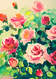 Beautiful rose flower(R4427)