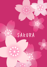 SAKURA Berry pink