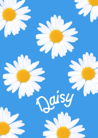 Daisy_pop blue